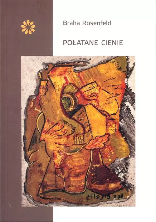 Połatane cienie - Książki