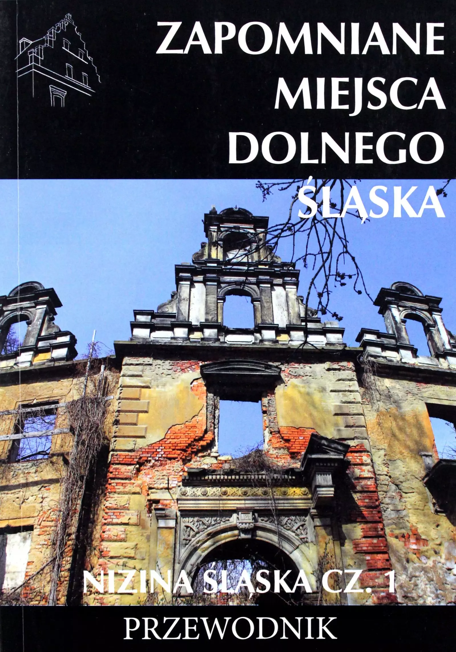 Zapomniane miejsca Dolnego Śląska. Nizina śląska. Część 1 - Książki