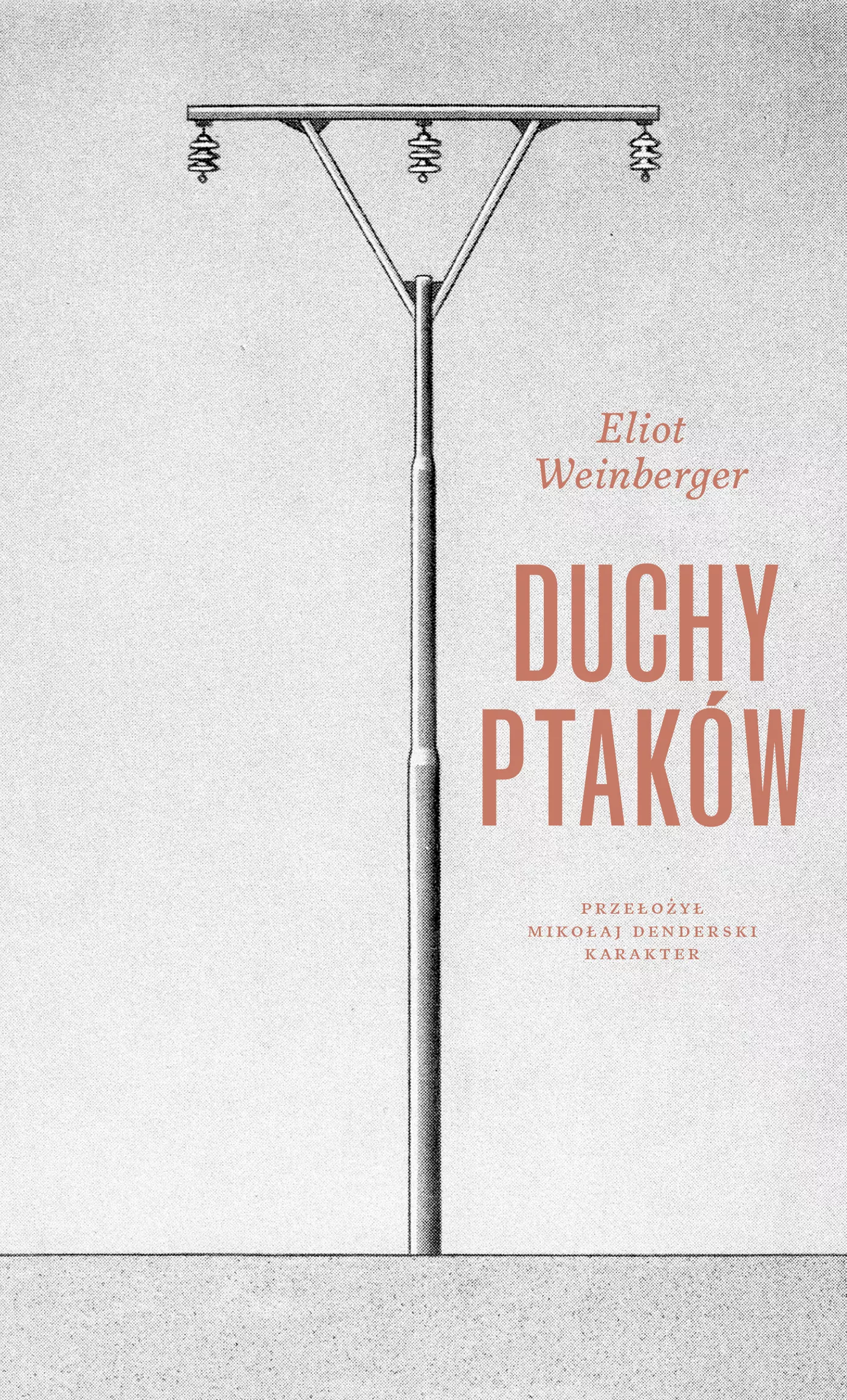 Duchy ptaków - Książki