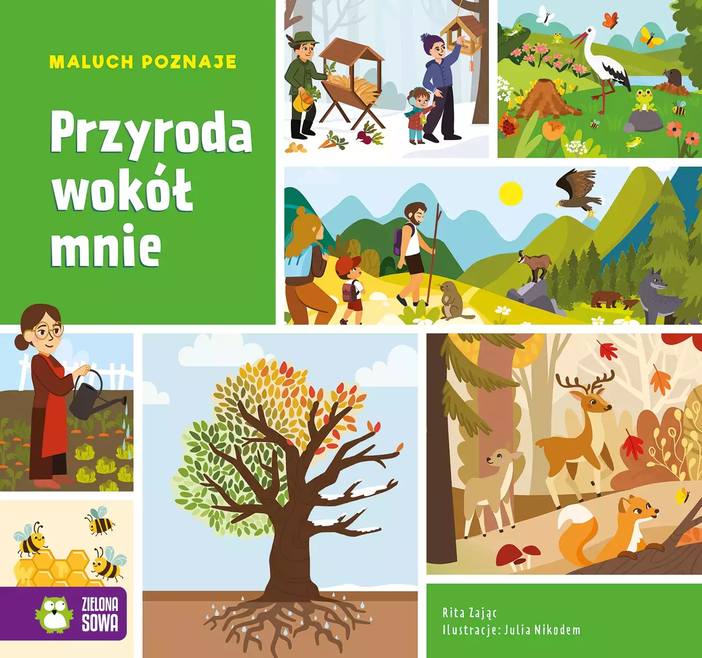 Maluch poznaje. Przyroda wokół mnie - Książki