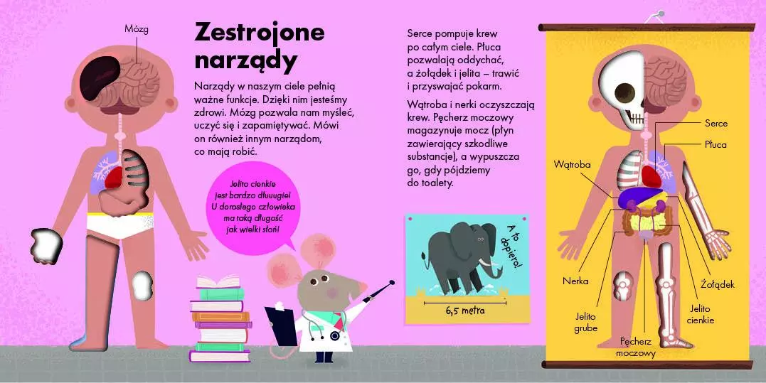 Jak to działa? Ciało - Książki