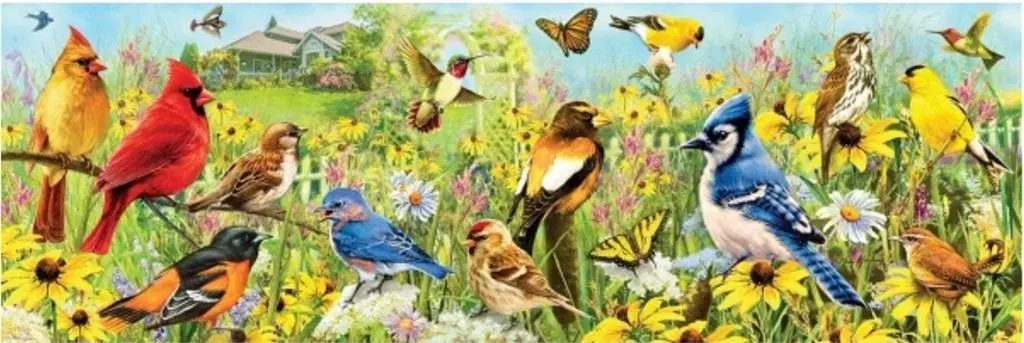 Puzzle 1000 Ptaki w ogrodzie, Panorama - Puzzle
