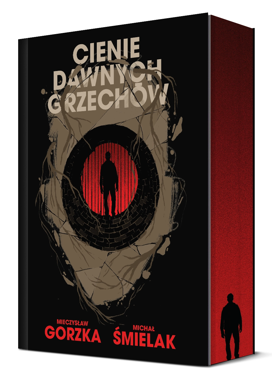Cienie dawnych grzechów - Książki