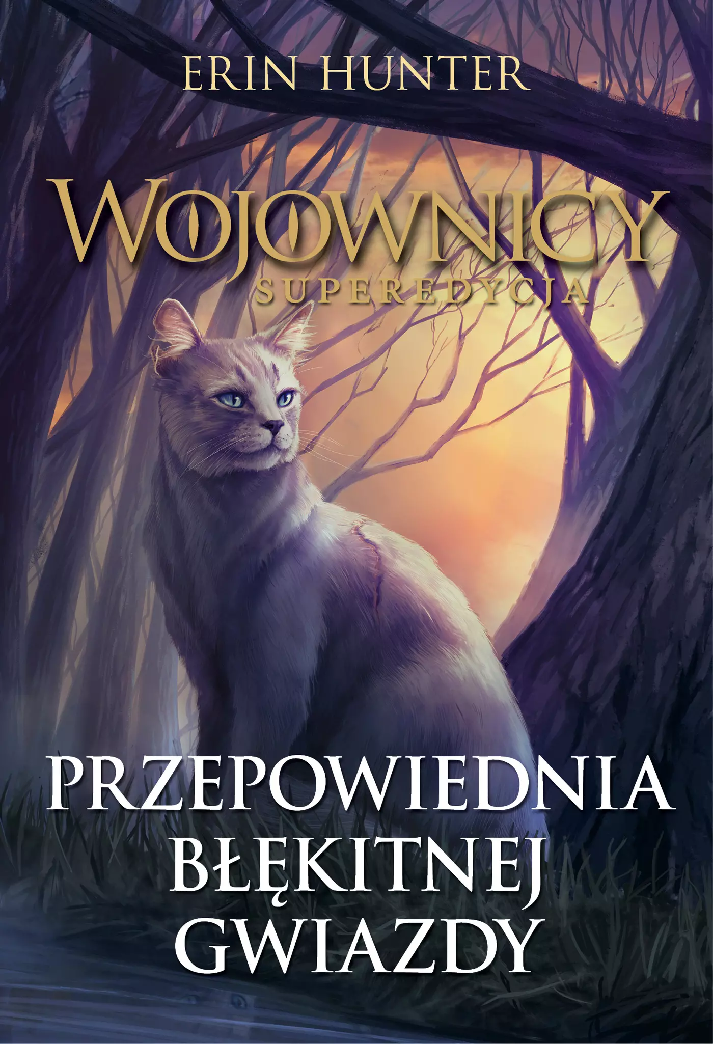 Wojownicy Superedycja Tom 2 Przepowiednia Błękitnej Gwiazdy - Książki