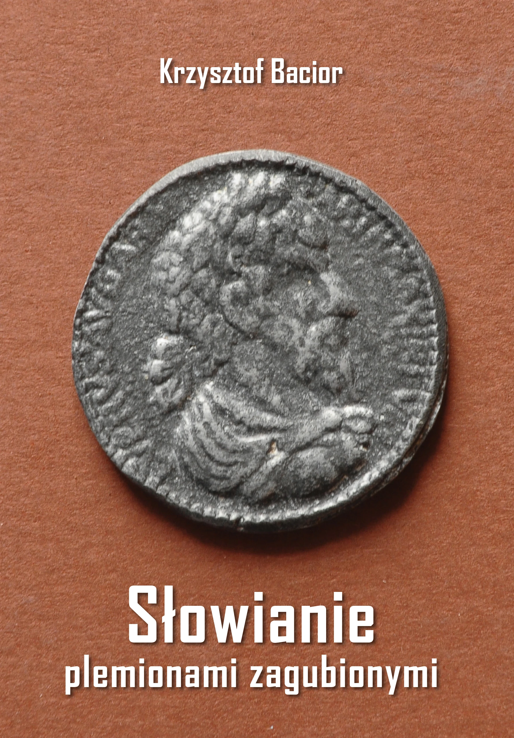 Słowianie plemionami zagubionymi - Książki