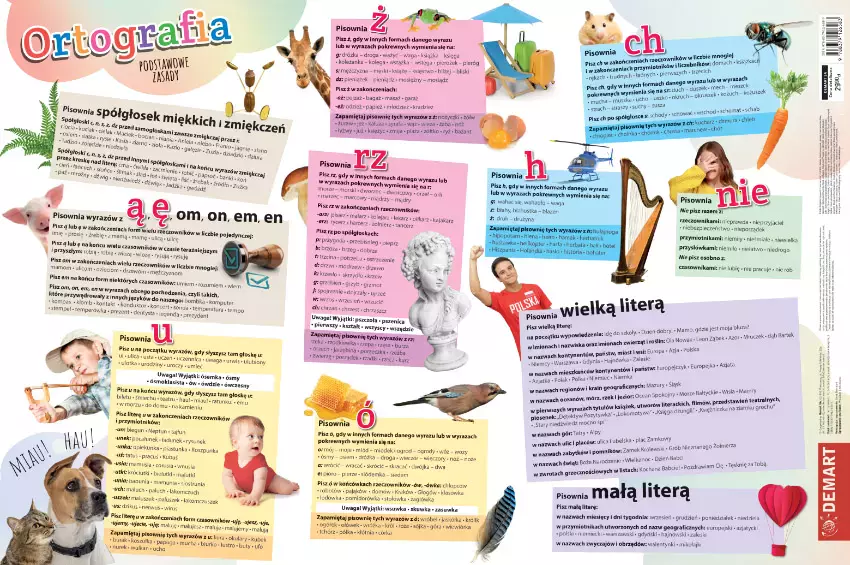 Podkładka zasady ortografii - Papiernicze i szkolne