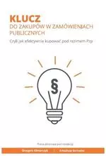 Klucz do zakupów w zamówieniach publicznych. Czyli jak efektywnie kupować pod reżimem Pzp - Książki