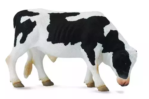 Byk Friesian - Gry