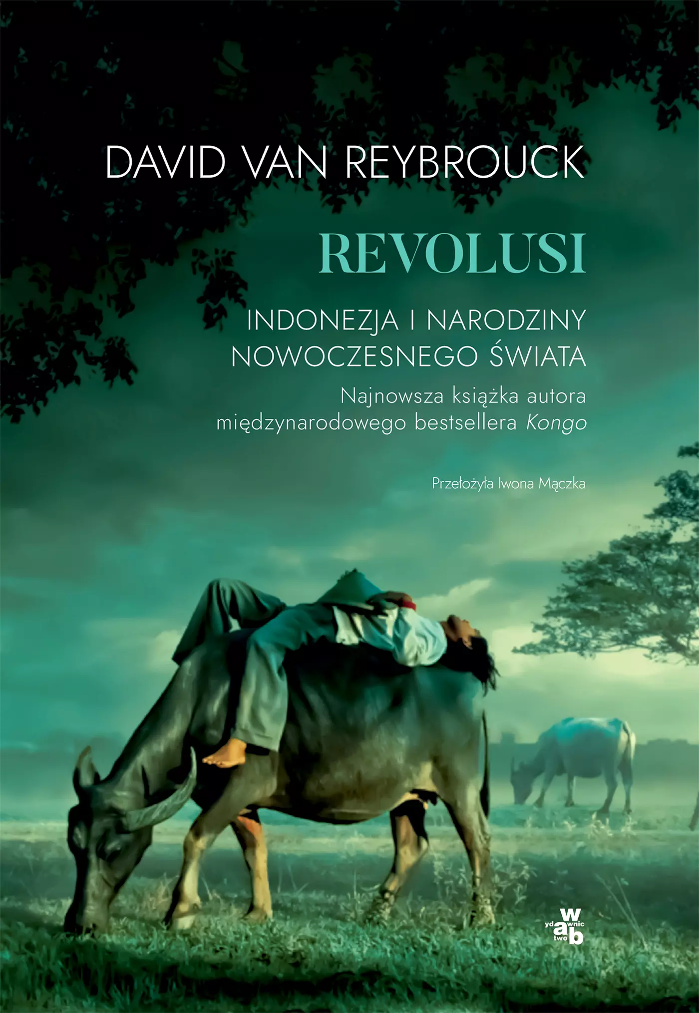 Revolusi. Indonezja i narodziny nowoczesnego świata - Książki
