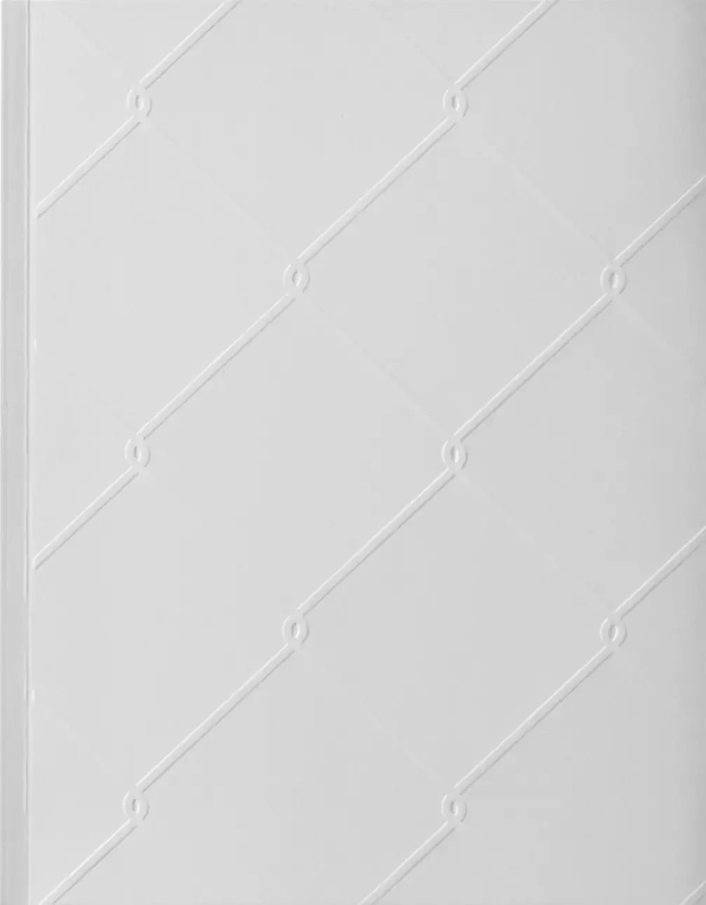 Dominik Lejman "Płot" - katalog do wystawy - Książki