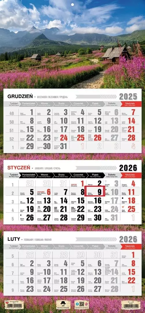 Kalendarz 2026 trójdzielny płaska główka tatry - Książki
