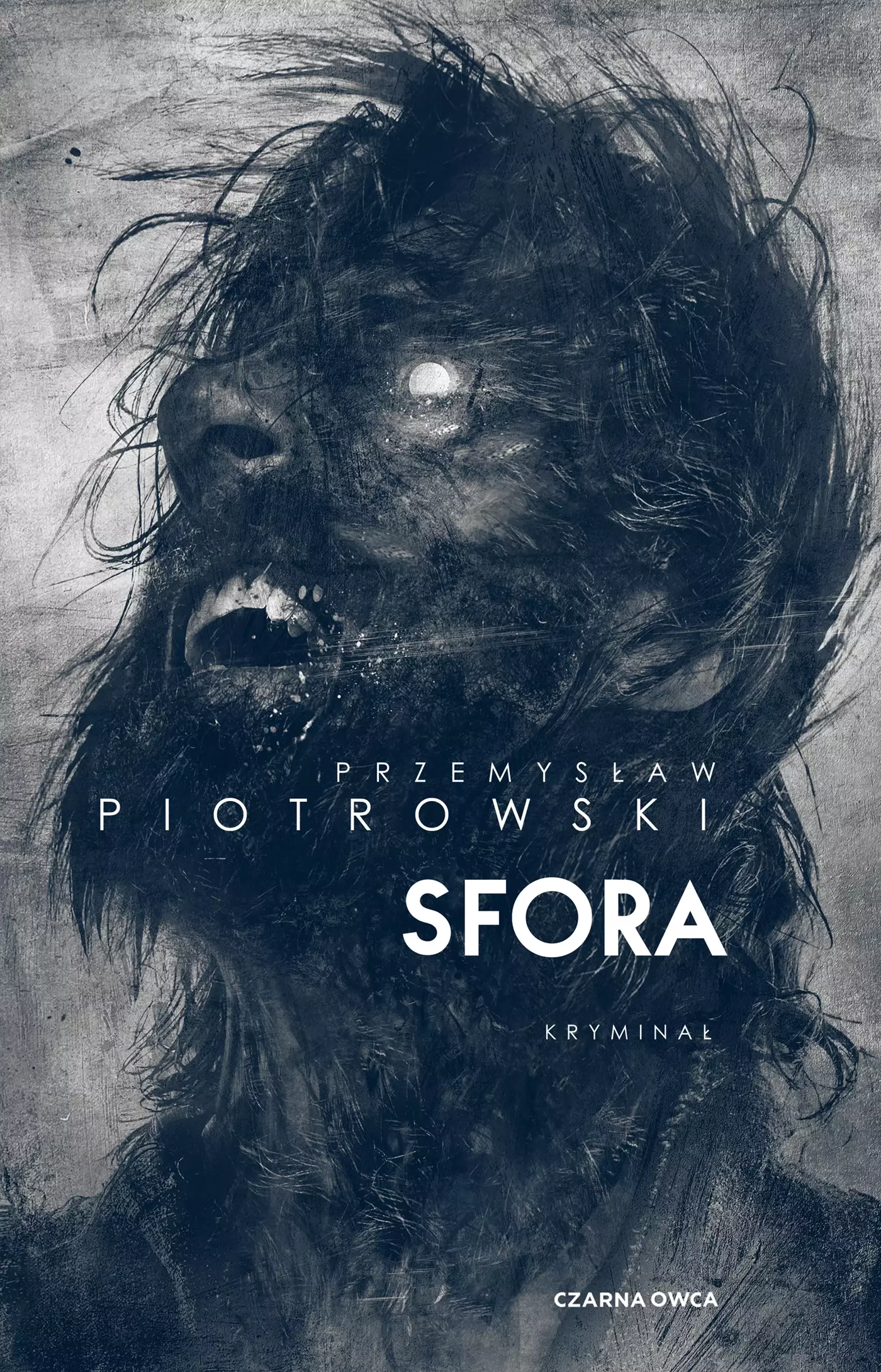 Sfora. Komisarz Igor Brudny. Tom 2 - Książki