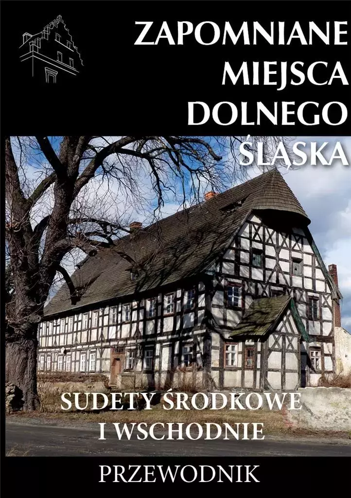 Zapomniane miejsca Dolnego Śląska w.2 - Książki