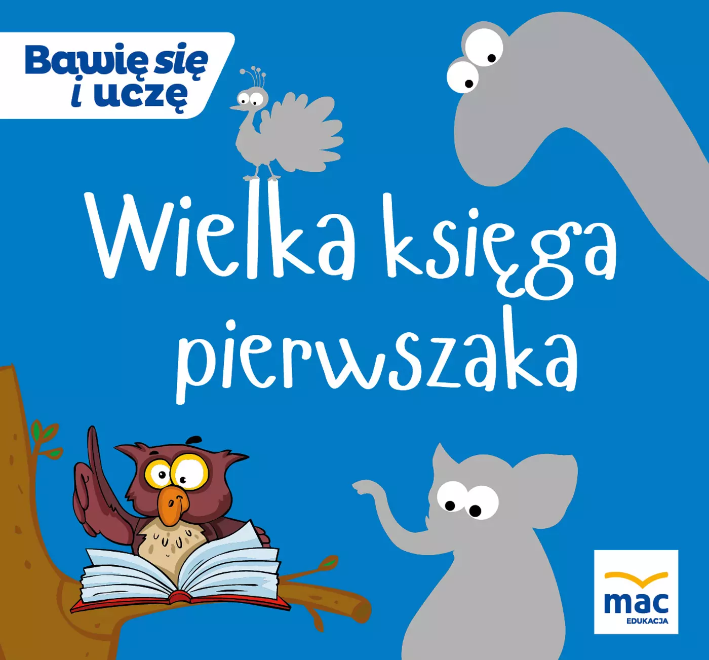 Wielka księga pierwszaka - Książki