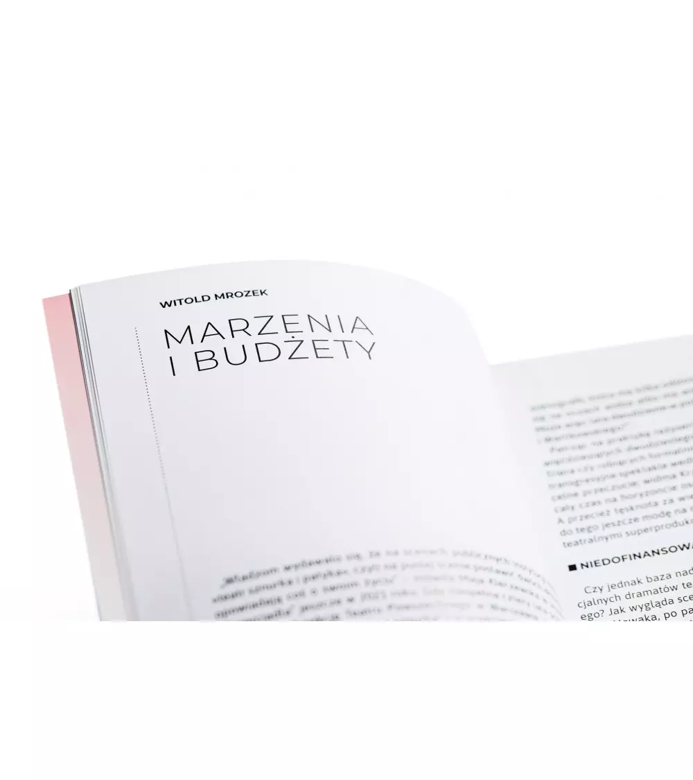 Notatnik Teatralny. Nr 98-99/2025 Teatr: Wizualność - Książki