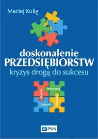 Doskonalenie przedsiębiorstw. Kryzys drogą do sukcesu - Książki