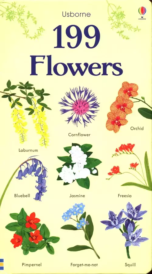199 Flowers - Książki