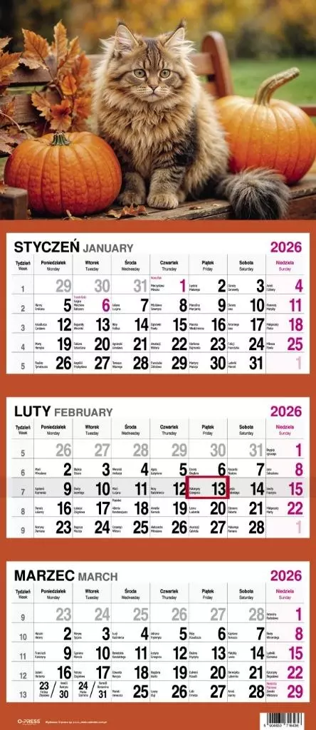 Kalendarz 2026 Trójdzielny Kot - Książki