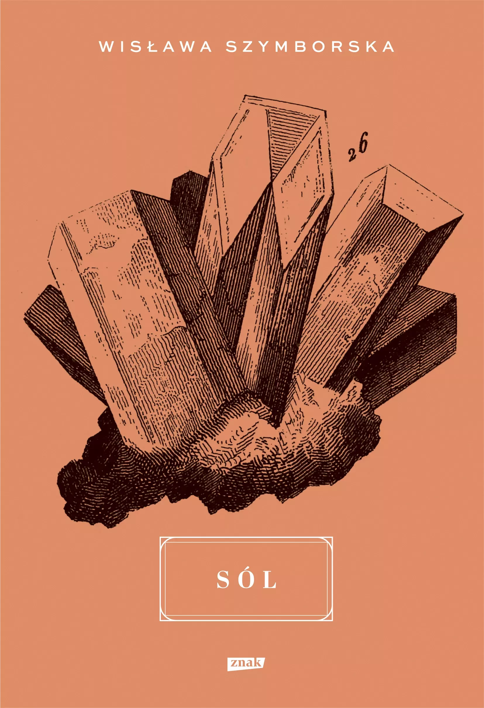 Sól - Książki