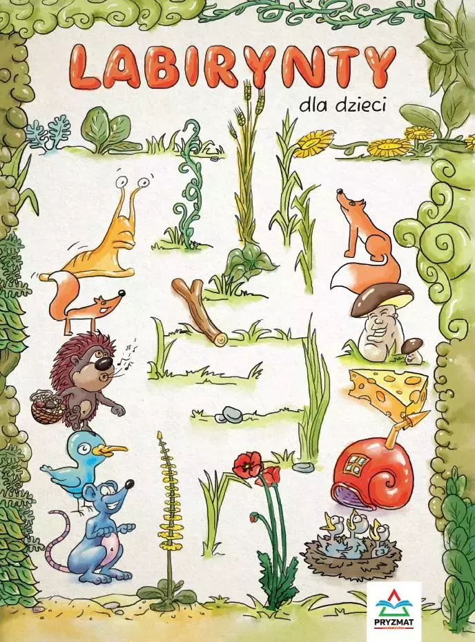 Labirynty dla dzieci - Książki