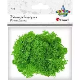 Mech chrobotek jasnozielony 20g - Papiernicze i szkolne