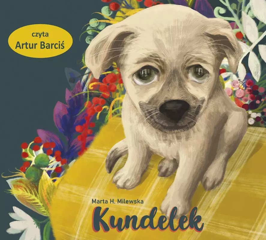 CD MP3 Kundelek - Audiobooki