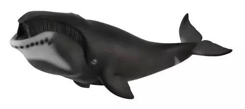 Wieloryb grenlandzki XL - Gry