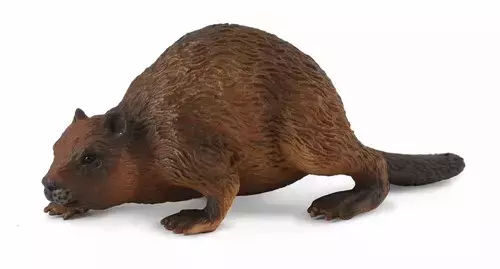 Bóbr - Gry