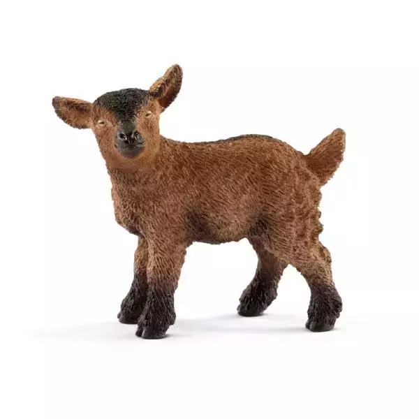 Schleich 17067 Młoda koza (13829) - Zabawki