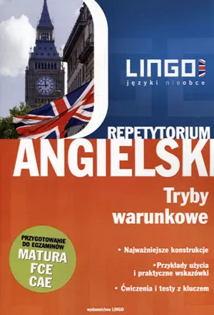 Angielski repetytorium. Tryby warunkowe - Książki