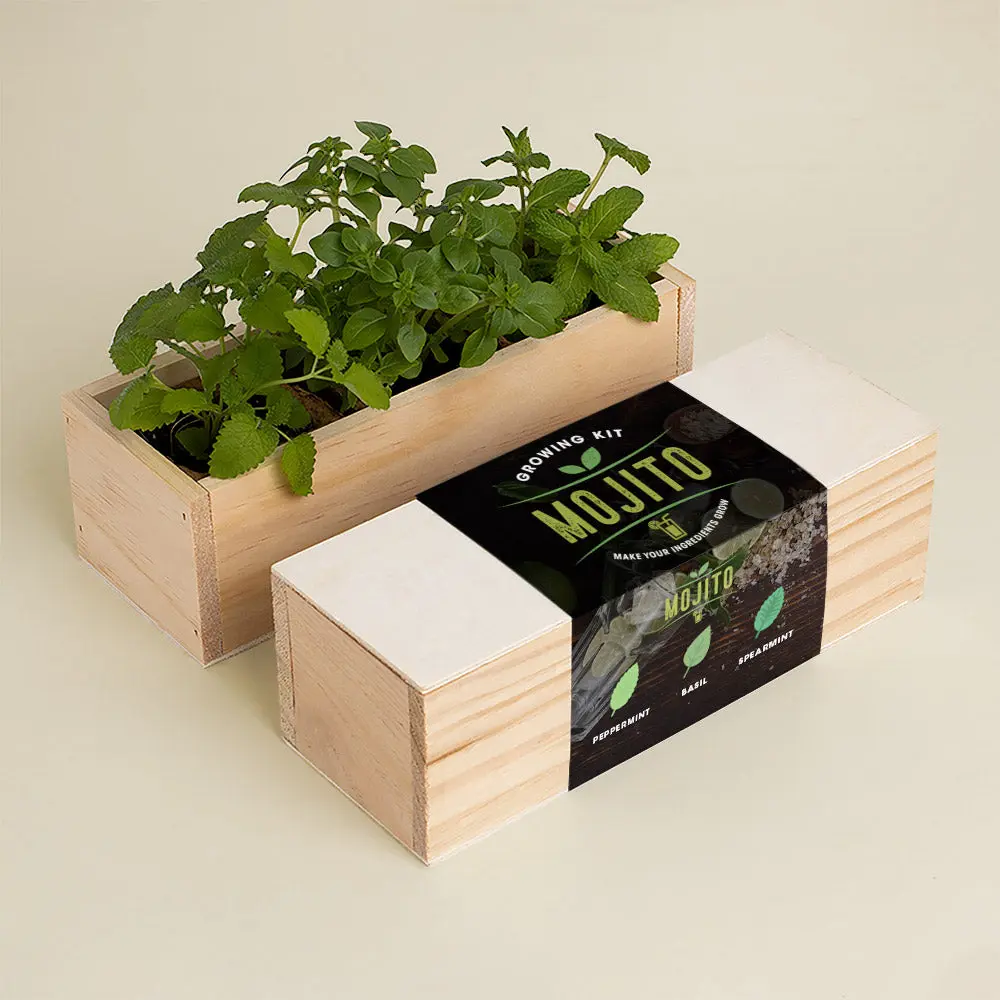 Mojito – zestaw do uprawy ziół Resetea (mięta pieprzowa, bazylia, mięta zielona) - Zabawki