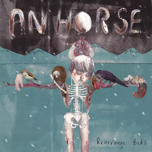 REARRANGE BEDS. Winyl - Muzyka