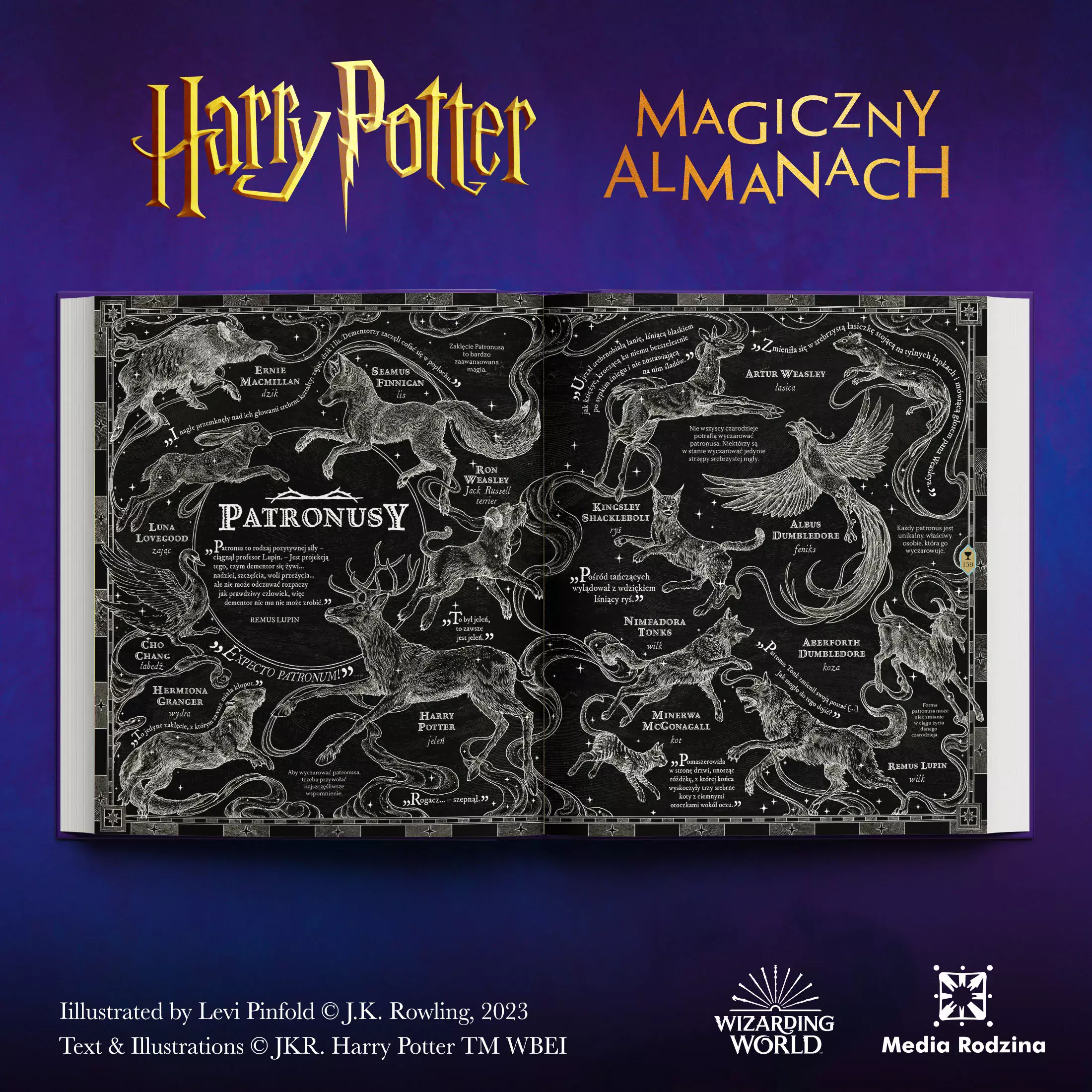 Harry Potter. Magiczny almanach - Książki