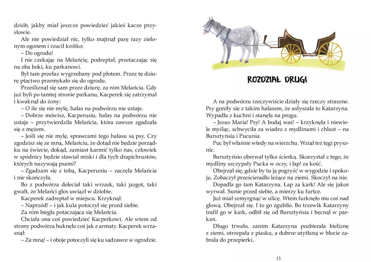 Puc, Bursztyn i goście - Książki