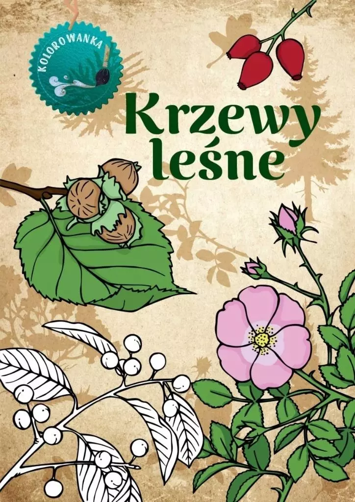 Krzewy leśne kolorowanka - Książki