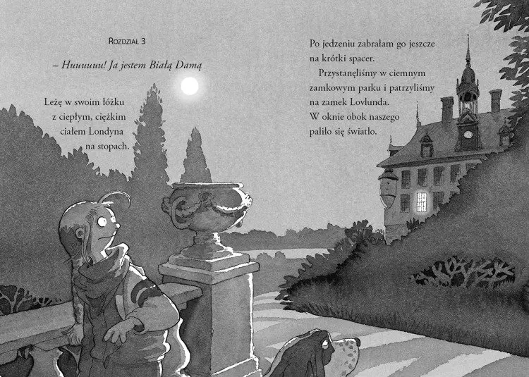 Nelly Rapp i białe damy - Książki