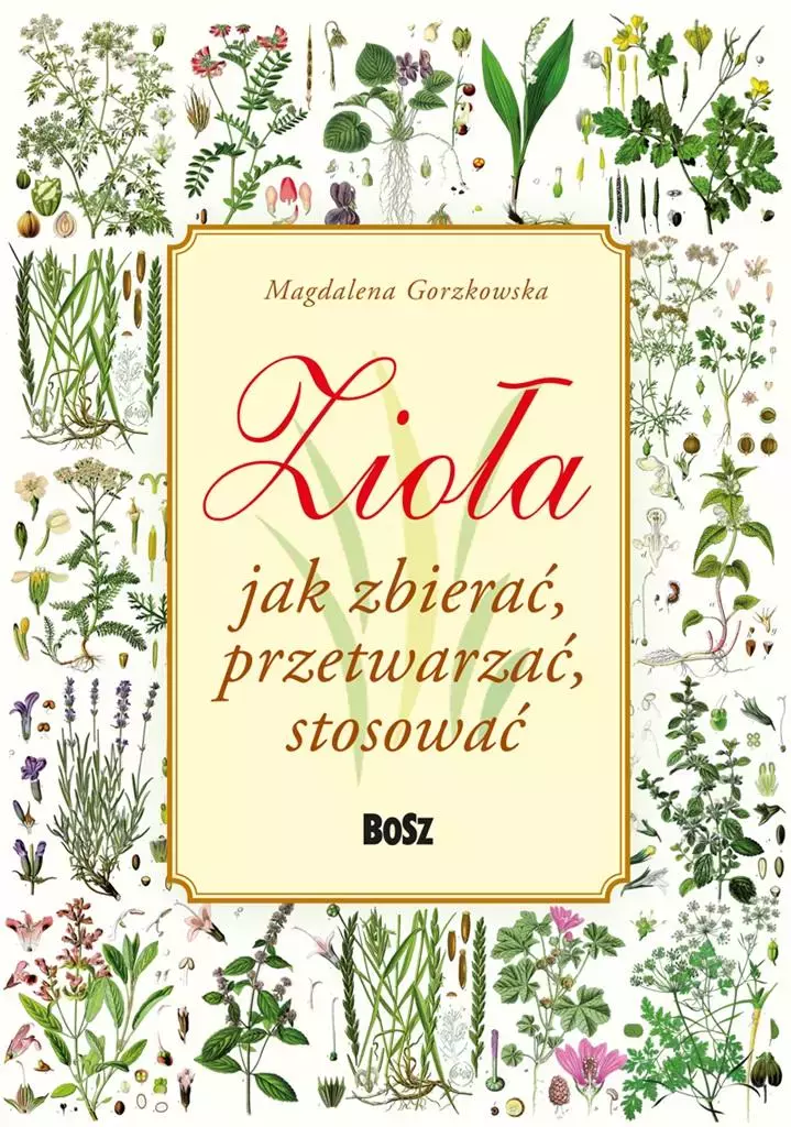 Zioła. Jak zbierać, przetwarzać, stosować - Książki