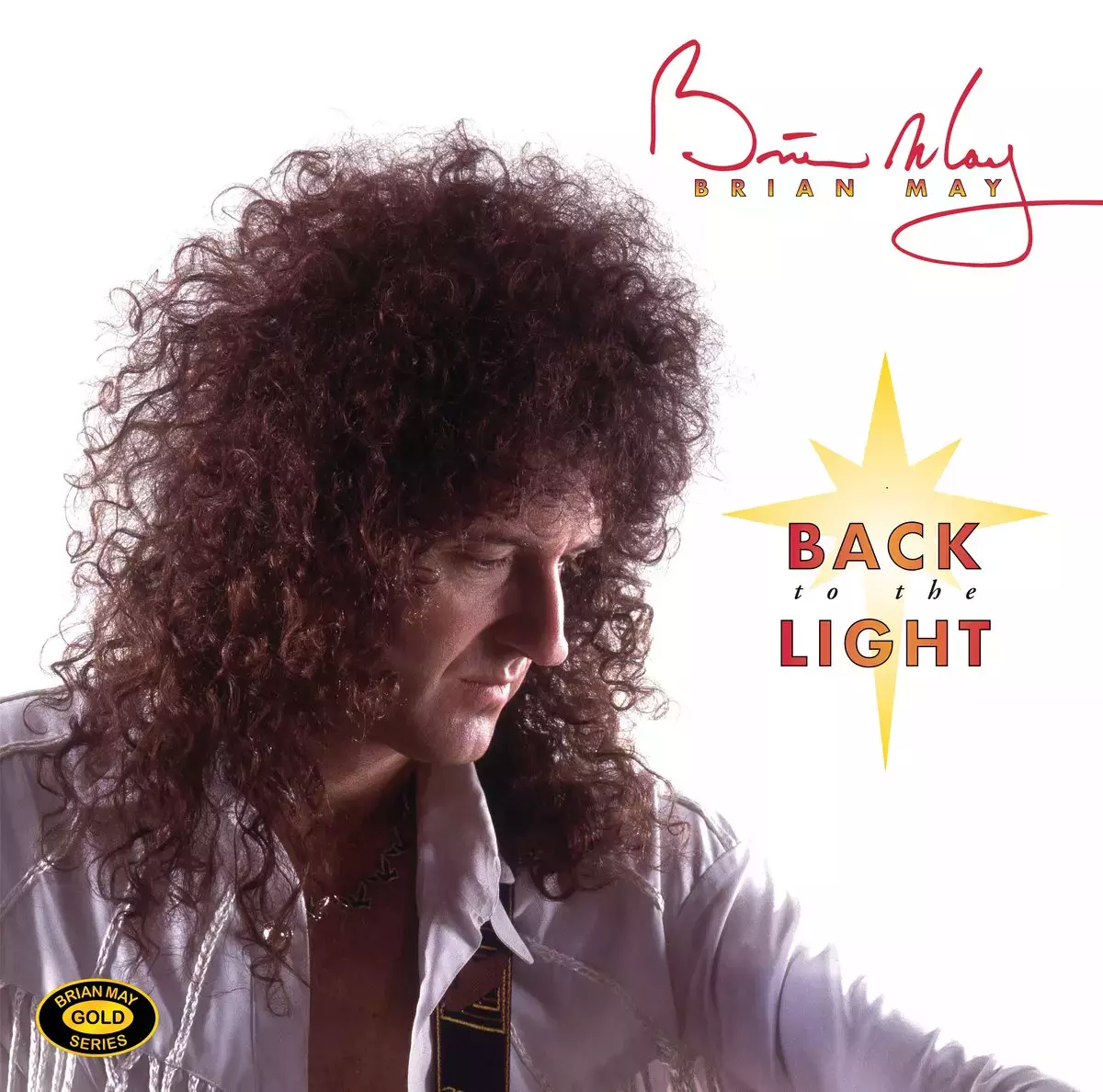 Back To The Light. Winyl - Muzyka