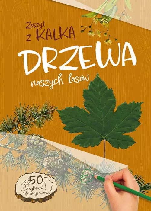Drzewa naszych lasów. Zeszyt z kalką - Książki