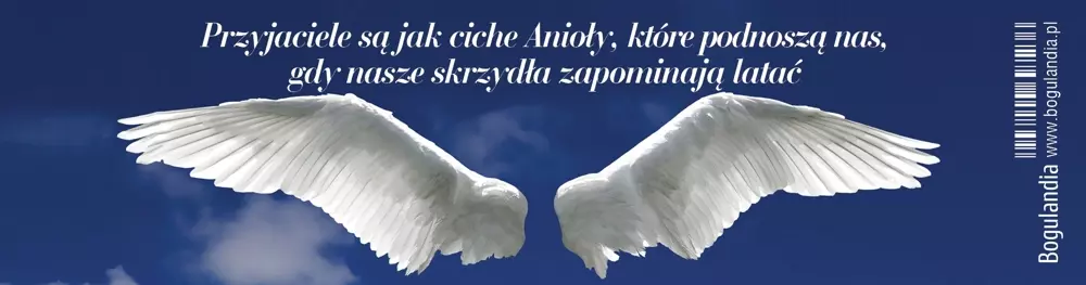 Zakładka do książki. Przyjaciele są jak ciche anioły... - Papiernicze i szkolne