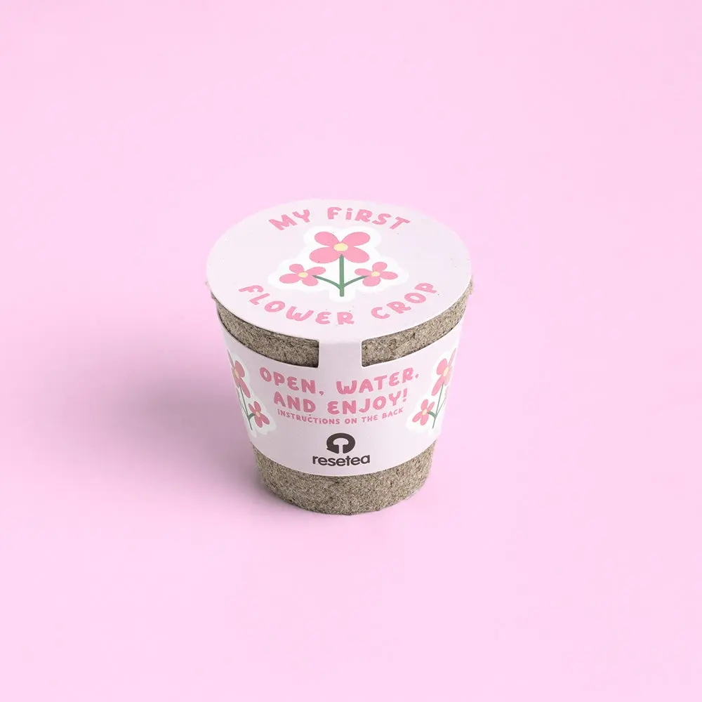 My First Crops Resetea – Kwiaty - Zabawki