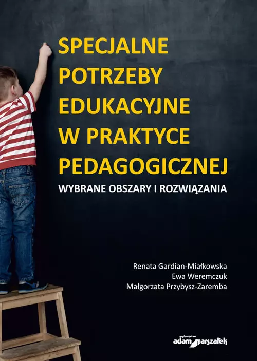 Specjalne potrzeby edukacyjne w praktyce pedagogicznej Wybrane obszary i rozwiązania - Książki