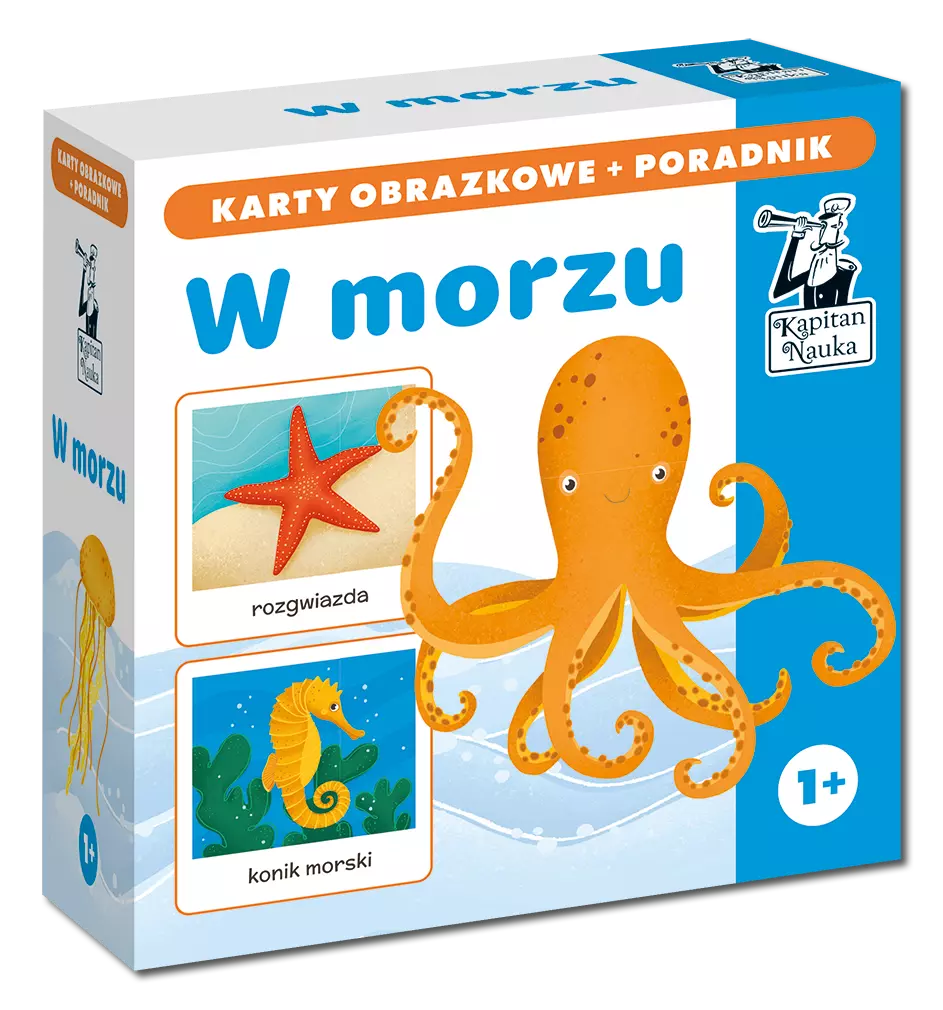 W morzu. Karty obrazkowe + poradnik - Książki