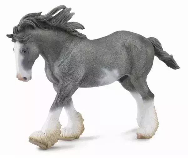 OgierClydesdale maści czarnej XL - Książki