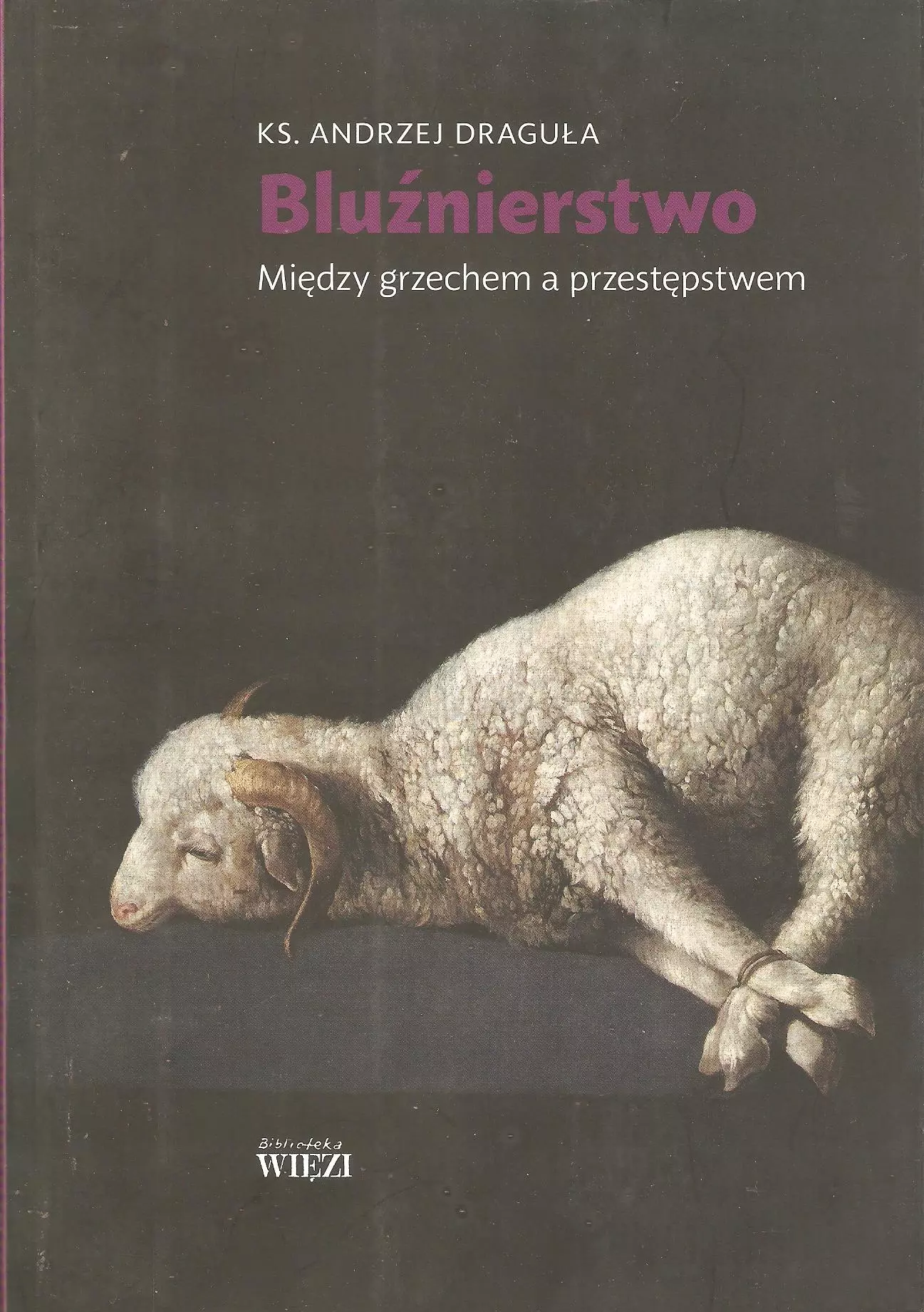 Bluźnierstwo między grzechem a przestępstwem - Książki