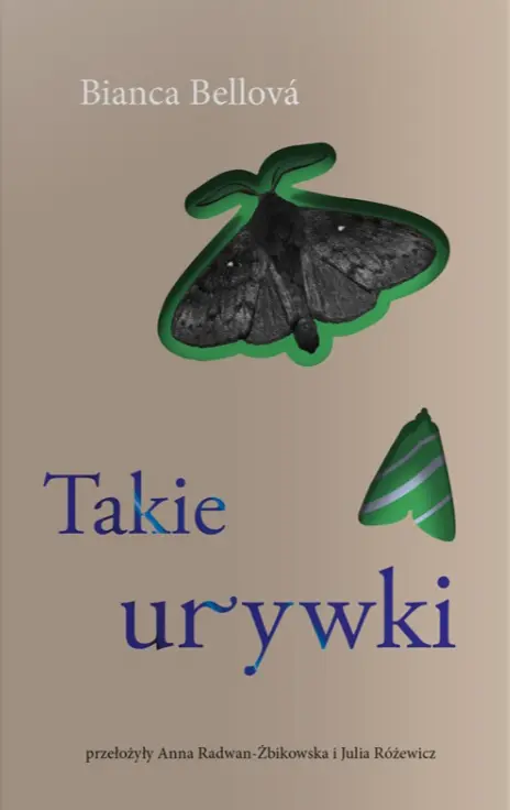 Takie urywki - Książki