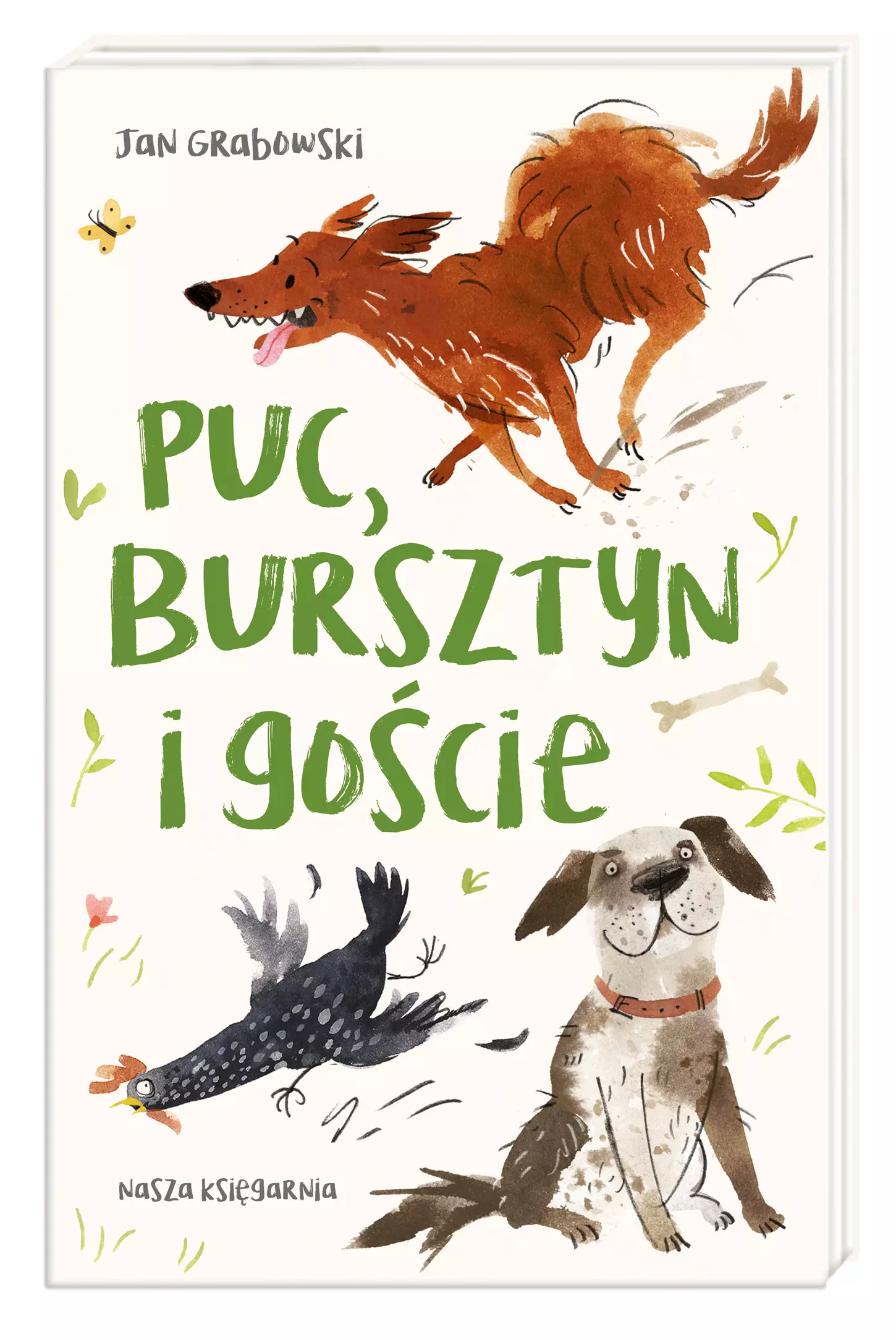 Puc, Bursztyn i goście - Książki