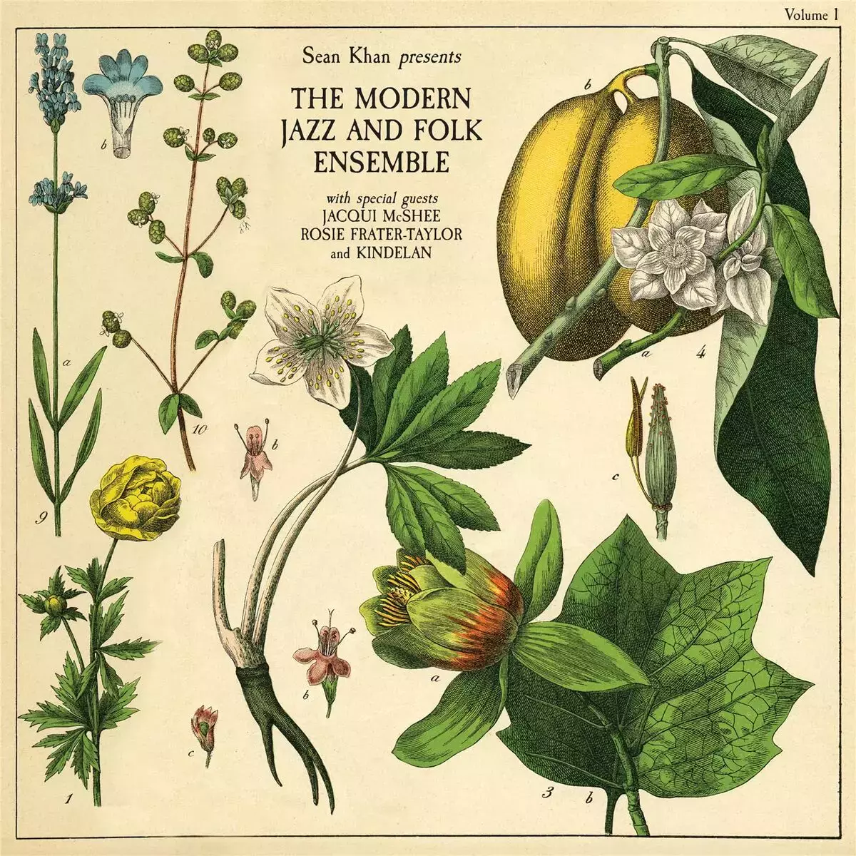 Sean Khan Presents The Modern Folk & Jazz Ensemble, CD - Muzyka
