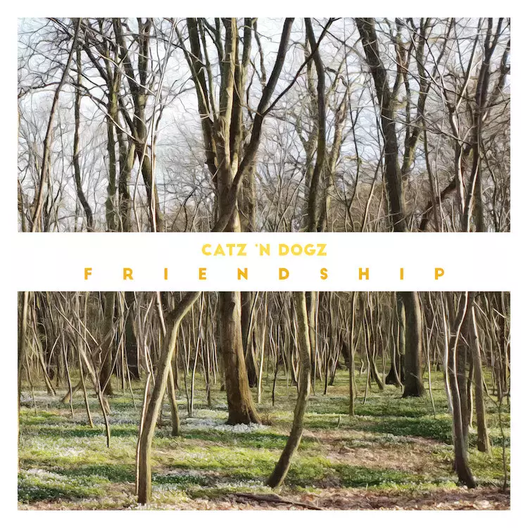 Friendship, 2 LP - Muzyka
