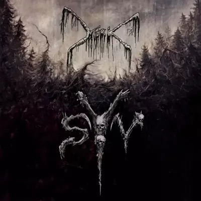 Syv, CD - Muzyka